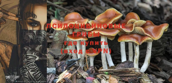 герыч Снежногорск