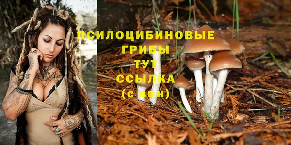 первитин Слюдянка
